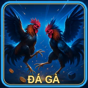 Đá Gà 5699 nohu